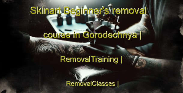 Skinart Beginner's removal course in Gorodechnya | RemovalTraining | RemovalClasses | SkinartTraining-Russian Federation